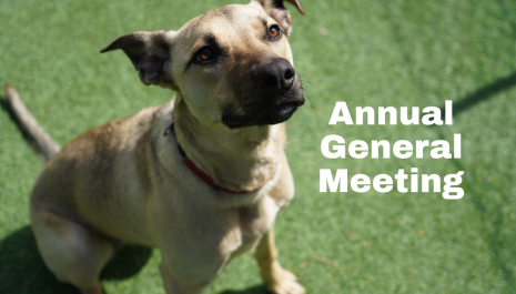 Annual General Meeting