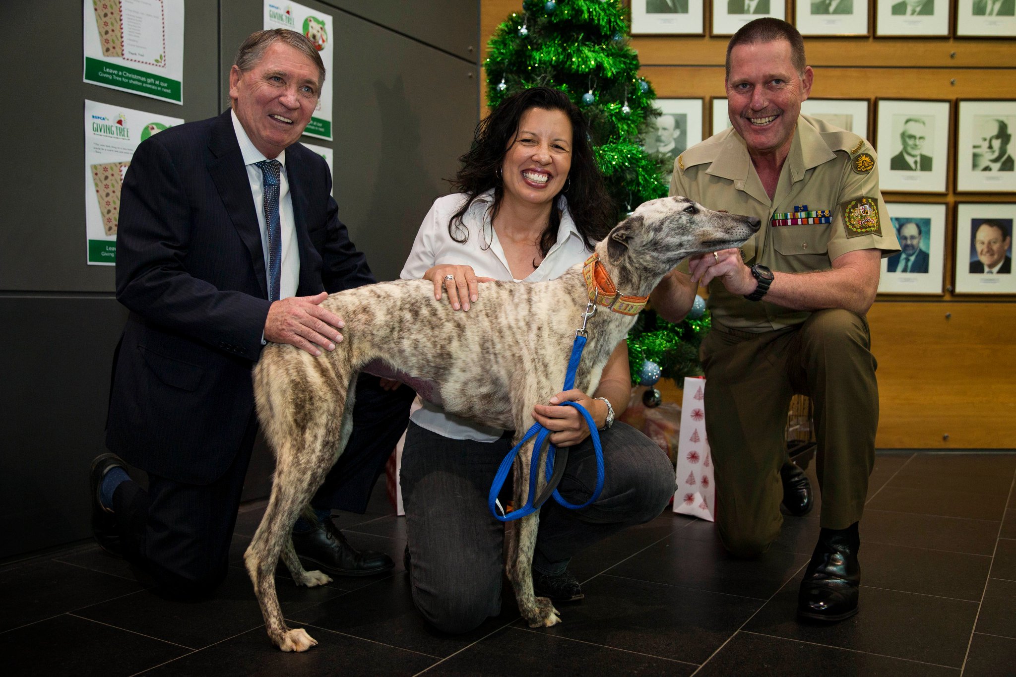 RSPCA ACT Giving Tree Launch