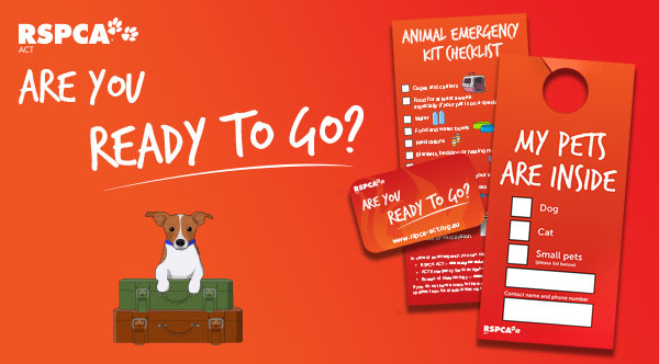 Get our FREE pet emergency preparation kit 