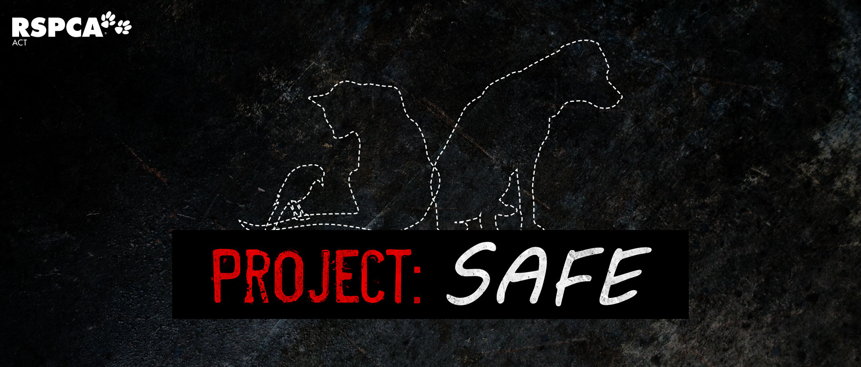 Can you help us support Project SAFE?