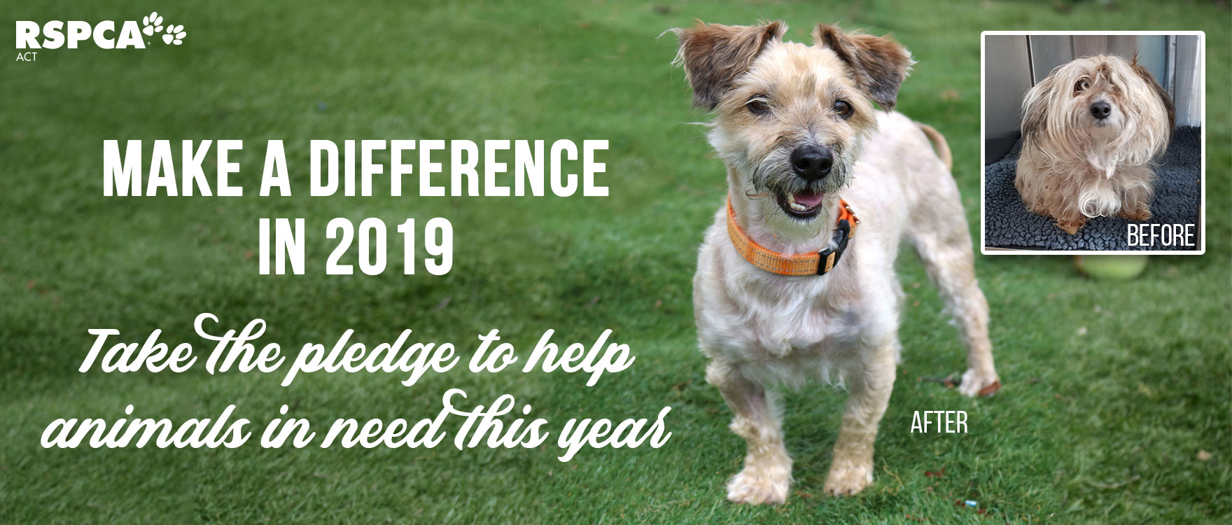 Make a difference in 2019
