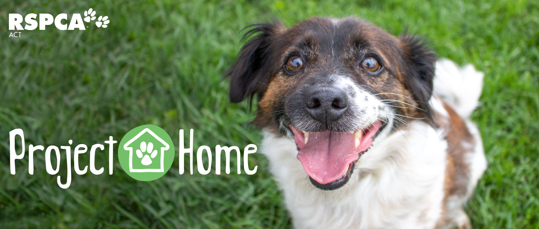 Project Home | RSPCA ACT
