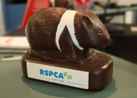 RSPCA ACT Donation Box