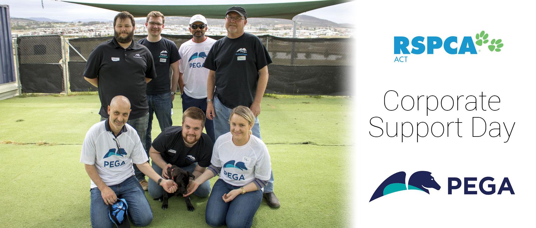 Pega Systems Corporate Support Day Team photo