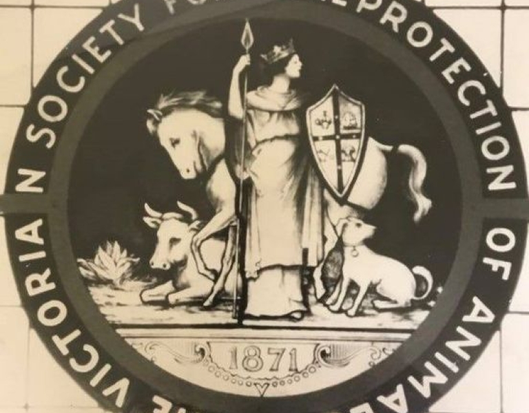 RSPCA Victoria