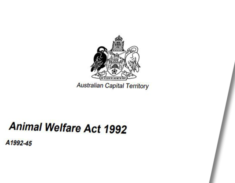 Animal Welfare